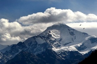 4 альпіністів з росії врятовані в грузії